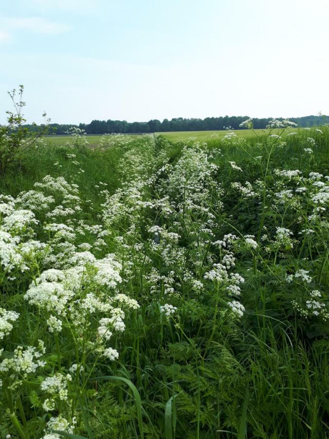 Gezond Boeren Verstand Dalerveen Exterior photo